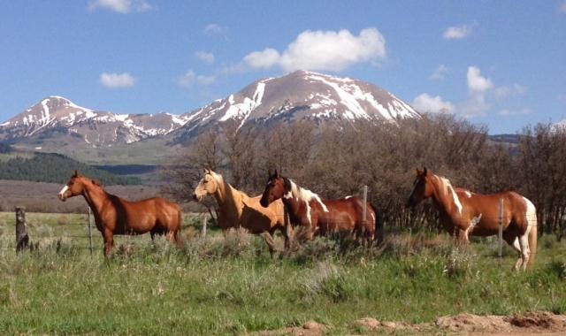 Mount Peale Country Inn La Sal Zewnętrze zdjęcie